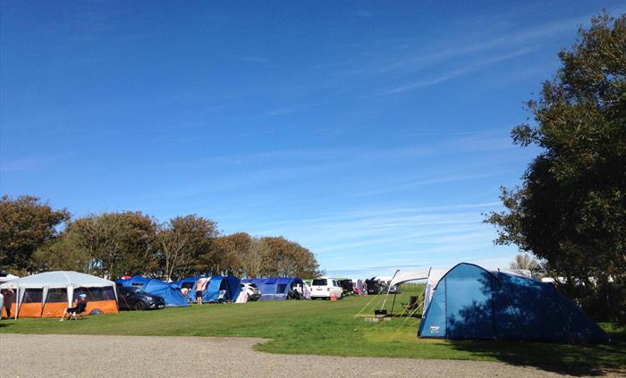 Camping Field